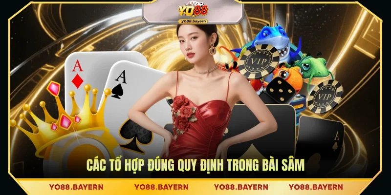 Các tổ hợp đúng quy định trong bài Sâm